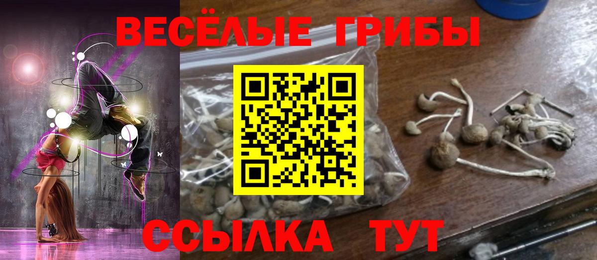 Похвистнево  Галлюциногенные грибы MAGIC MUSHROOMS  Вход с VPN  Галлюциногенные грибы Psilocybine cubensis 